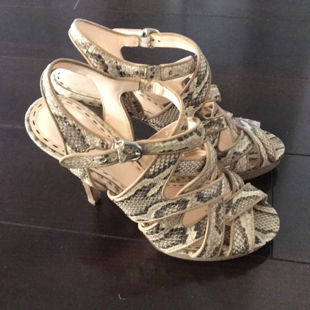 Coach Snake/Python Leather Shoes - image 1